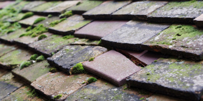 Newnham On Severn roof repair costs